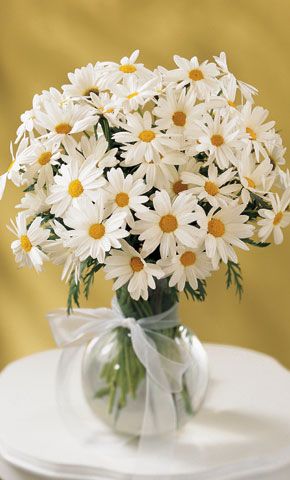 Daisy Vase