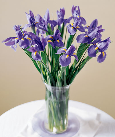 Blooming Iris Bouquet
