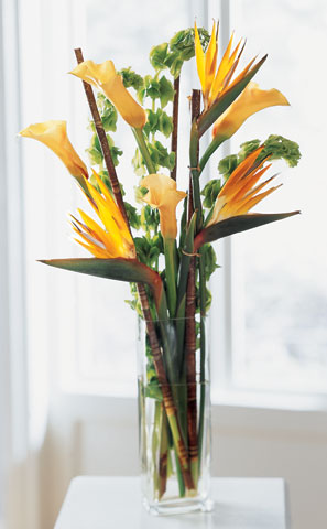 Tropicala