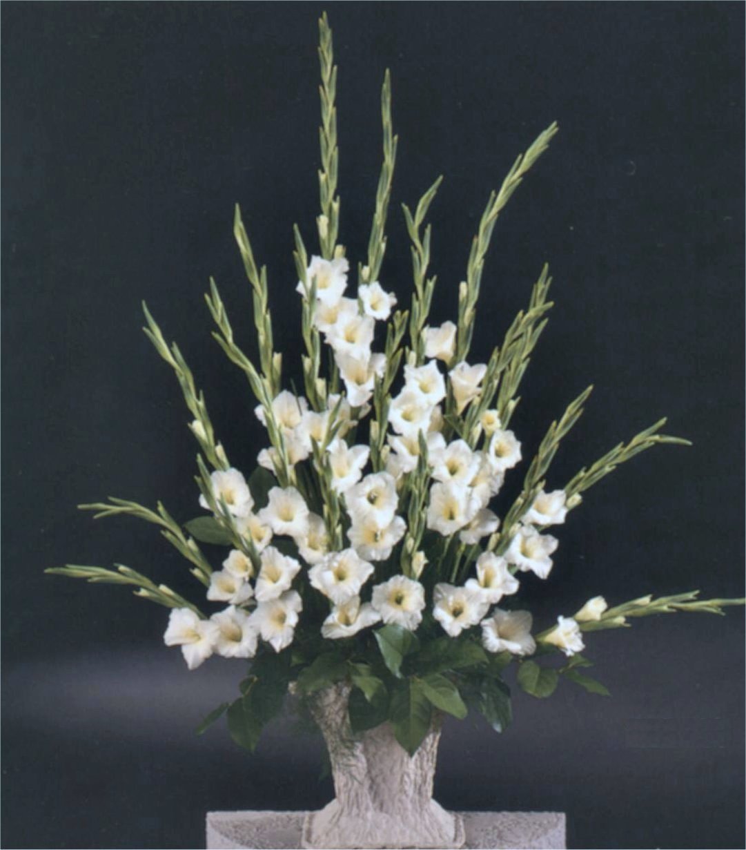 Sympathy Arrangement