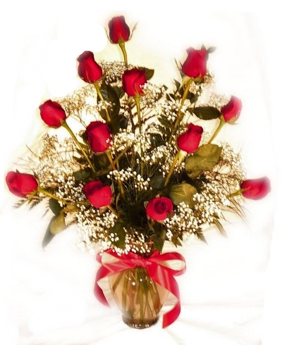 Dozen Roses