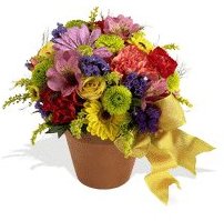 Blossom Potpourri