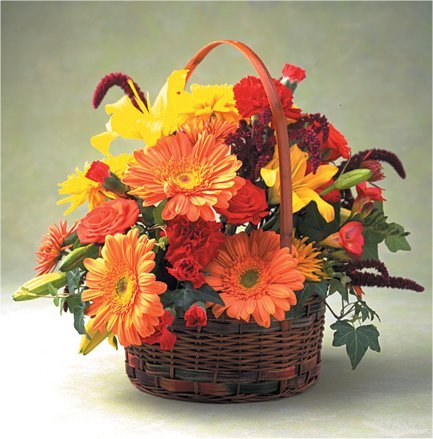 Autumn Harvest