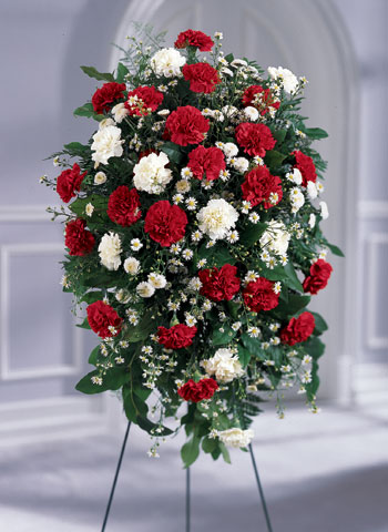 Crimson & White