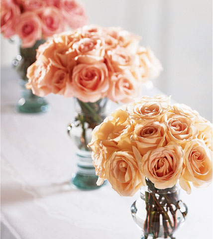 Bridesmaid's Garden